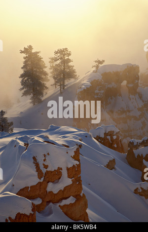 Nebligen Sonnenaufgang am Sunrise Point mit Schnee, Bryce-Canyon-Nationalpark, Utah, Vereinigte Staaten von Amerika, Nordamerika Stockfoto