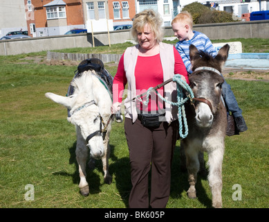 Esel reitet wieder nach einer Pause von fünfzig Jahren in Felixstowe, Suffolk Stockfoto