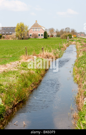 Niederländische Bauernhaus in Landschaft mit Wiesen und Graben Stockfoto