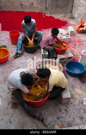 Farbige Sägemehl für die Prozession der Karwoche machen Teppiche, San Lucas Toliman, Lake Atitlan, Guatemala, Mittelamerika Stockfoto