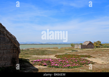 Traditionellen Fischer shack, Teich von Canet En Roussillon, Frankreich Stockfoto