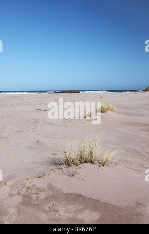 Dünengebieten Grass Ammophila Arenaria mit Dune Forming dahinter Sandwood Bay Sutherland Westküste von Schottland Stockfoto