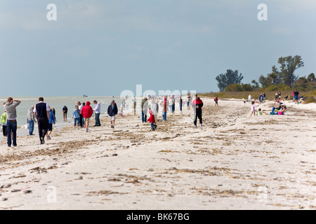 Menschen zu Fuß entlang einer Strand, "Sanibel Island", Florida, USA Stockfoto