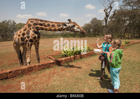 Kinder mit Giraffe, Kenia, Afrika Stockfoto