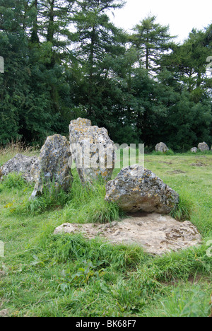 Teil des Steinkreises Rollright in Oxfordshire Stockfoto