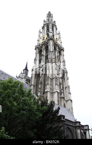 Glockenturm der gotische Liebfrauenkathedrale in Antwerpen, Onze-Lieve-Vrouwekathedraal, Antwerpen, Flandern, Belgien, Europa Stockfoto