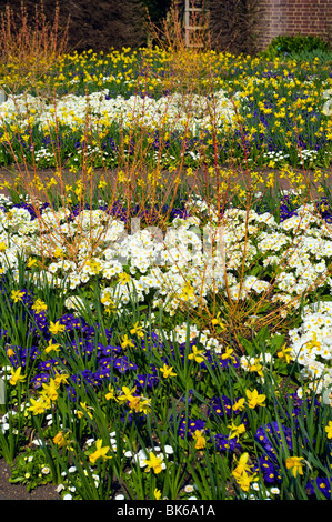 Bettwäsche Frühlingsblumen und Narzissen Stockfoto