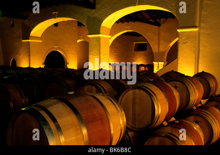 Das Innere des Monte Seis Reis Weingut in der Nähe von Estremoz, in Süd-Portugal-Alentejo-Provinz. Stockfoto