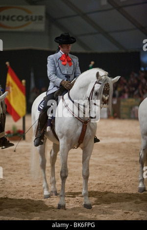 Messe Pferdesport rein spanische Pferde, Los Barrios, Andalusien, Spanien Stockfoto