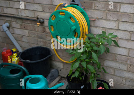 Die Bewässerung des Gartens Stockfoto