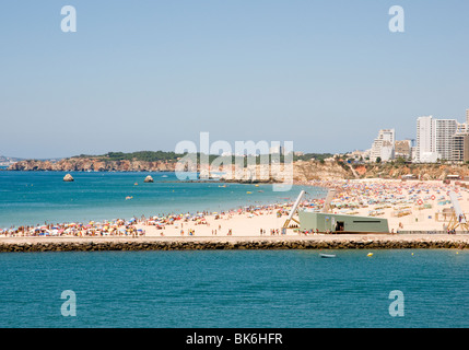 Der Strand von Praia da Rocha in Portimão an der Algarve, Südportugal. Die Wellenbrecher im Vordergrund zu sehen. Stockfoto