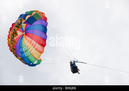 Touristen, parasailing, grüne Insel am Great Barrier Reef bei Cairns in Queensland, Australien. Stockfoto