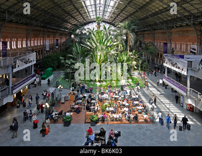 Madrid, Spanien. Atocha-Bahnhof. Tropische Gewächshaus im alten Zug werfen Stockfoto