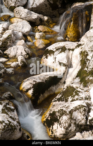 Bach in der Nähe Savica Wasserfall, Nationalpark Triglav Bohinj Tal, Slowenien. Stockfoto