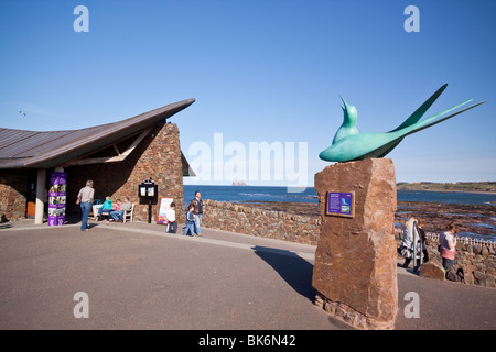 Schottische Seabird Centre in North Berwick und Statue von Tern Stockfoto