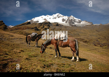 Szene aus der Cordillera Real in Bolivien. Stockfoto