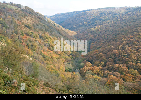 Herbstfarben im Teign Valley unter Castle Drogo Stockfoto