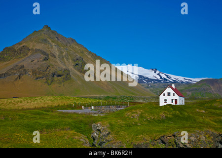 Island Landschaft in Arnarstapi mit Stapafell Mountains, blauem Himmel, Snaefellsnes Peninsula Glacier, Island, House Landscape isolierte Wildblumen Stockfoto