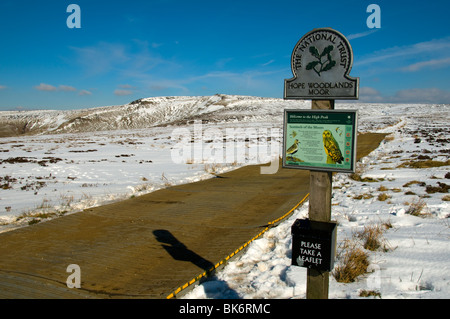 Abdeckung in der Lage, schützen Sie das Torfmoor auf der Pennine Way Track, Bleaklow, Peak District in Derbyshire, England, UK Stockfoto