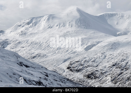 Stob Chor Claurigh, graue Hochgebirgsflora aus Cruach Inse, Schottland Stockfoto