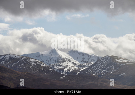 Stob Chor Claurigh, graue Hochgebirgsflora aus Glen Roy Sicht Stockfoto