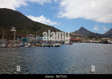 Hafenbecken von Hout Bay in der Nähe von Cape Town, Südafrika Stockfoto