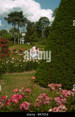 Paris, Frankreich, Frau zu Besuch im Stadtpark, Europäischer Blumengarten, Bagatelle Rose, Bois de Boulogne » Biodiversité Urbanisierung Stockfoto