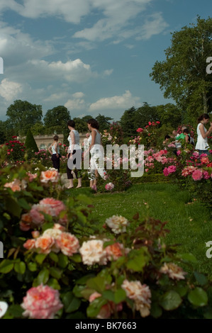 Paris, Frankreich, Besucher Stadtpark, Europäischer Blumengarten, Jardin de Bagatelle Rose, Bois de Boulogne Stockfoto