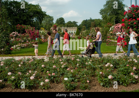 Paris, Frankreich, Familien besuchen Stadtpark, Europäischer Blumengarten, Jardin de Bagatelle Rose, 'Bois de Boulogne' Stockfoto