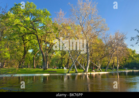 Bidwell Park in Chico, CA im Frühjahr. Stockfoto