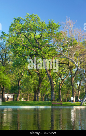 Bidwell Park in Chico, CA im Frühjahr. Stockfoto