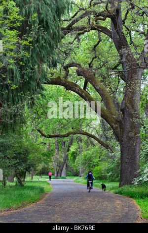 Bidwell Park in Chico, CA im Frühjahr. Stockfoto