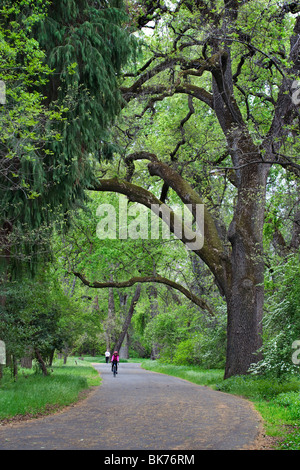 Bidwell Park in Chico, CA im Frühjahr. Stockfoto