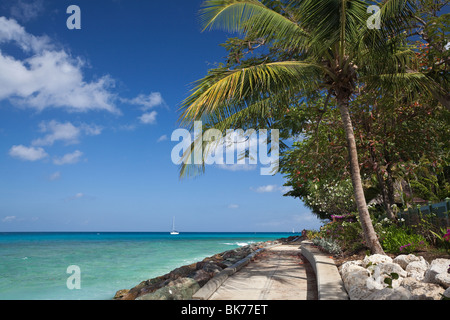 Karibik, St. James, Barbados, West Indies Stockfoto