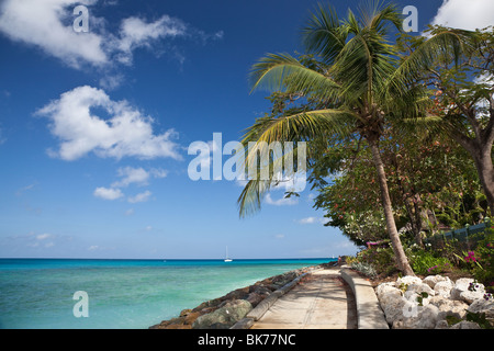 Karibik, St. James, Barbados, West Indies Stockfoto