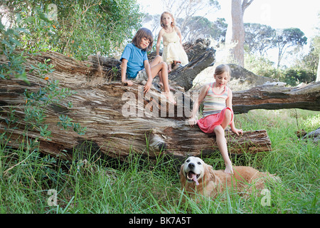 Kinder auf einem Baumstamm mit golden retriever Stockfoto