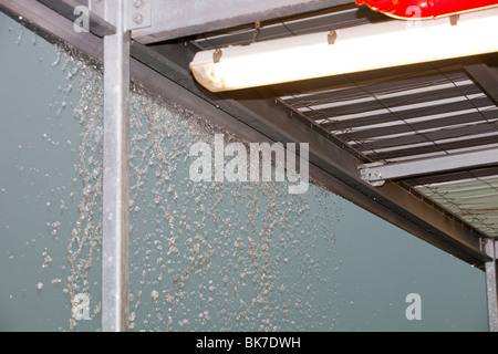 Die schlimmsten Tropensturm, Melbourne in mehr als 100 Jahren zu schlagen. Stockfoto