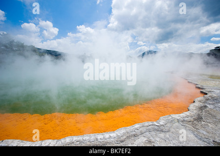 Rotorua, Waiotapu Thermalgebiet, Champagne Pool Stockfoto