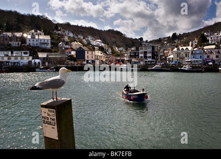 Der Passagier-Fähre überqueren den Fluss Looe in Cornwall.  Foto von Gordon Scammell Stockfoto