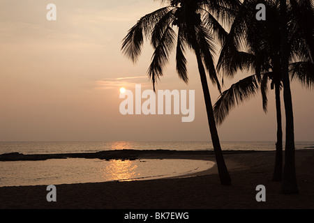 Palmen am Strand bei Sonnenuntergang Stockfoto