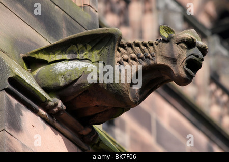 Wasserspeier an der Kathedrale von Chester, Cheshire, UK Stockfoto
