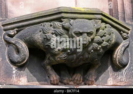 Löwe Wasserspeier in Chester Cathedral, Cheshire, UK Stockfoto