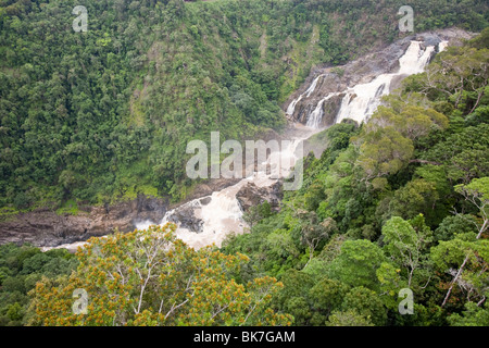 Die Barron unterschreitet Kuranda im Regenwald in Queensland, Australien. Stockfoto