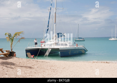 Katamaran Steinadler ist gestrandet am Grand-Case, Saint-Martin Stockfoto