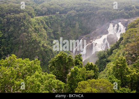 Die Barron unterschreitet Kuranda im Regenwald in Queensland, Australien. Stockfoto