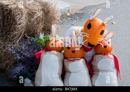 Halloween, Kürbis, Herbst Ernte, Squash, Jack O'Lanterns, Display, Allerheiligen, in der Nähe von North Conway, New Hampshire, New England, USA Stockfoto