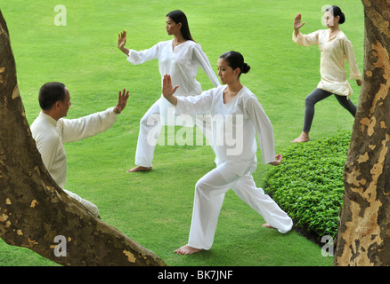 Eine Gruppe von Menschen, die Tai Chi im freien Stockfoto