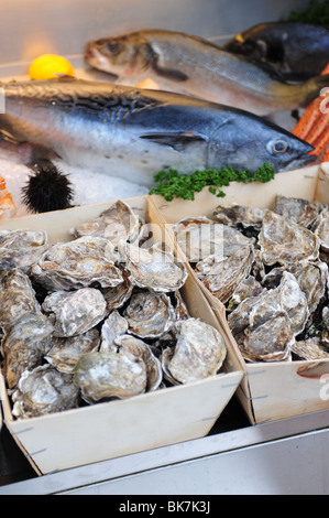 Europa Frankreich Nizza Cote d ' Azur Provence frischen Fisch, Meeresfrüchte, Austern, Muscheln sind auf dem Display in einem Restaurant. Stockfoto