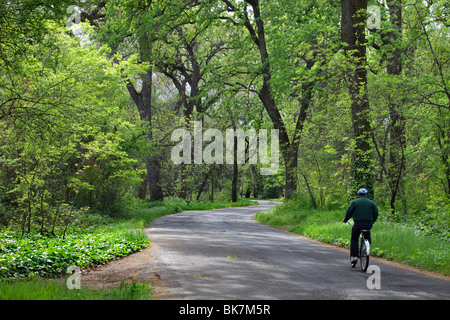 Bidwell Park in Chico, CA im Frühjahr. Stockfoto