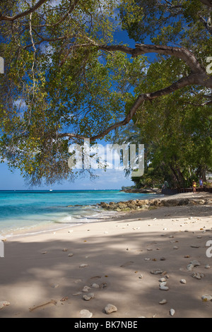 Karibik, St. James, Barbados, West Indies Stockfoto